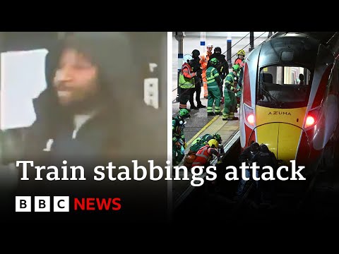 Cambridgeshire train stabbing suspect remanded in custody over attack | BBC News