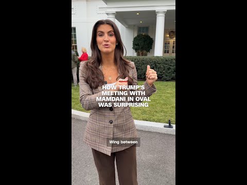 How Trump’s meeting with Mamdani in Oval was