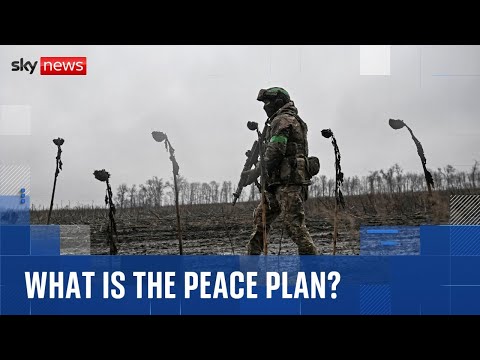 What is Trump’s peace plan for the Ukraine war and why is it controversial?