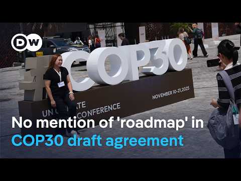 Is it possible to take meaningful climate action without this measure? | DW News