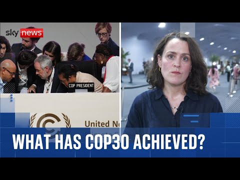 COP30 summit: Countries agree compromise climate deal