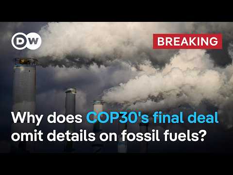 Wealthier nations should triple funding against effects of climate crisis, COP30 agrees | DW News