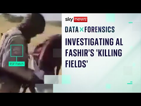 Investigating Al Fashir’s ‘killing fields’ in Sudan