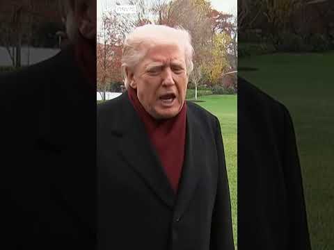 Trump: Marjorie Taylor Greene is a nice person