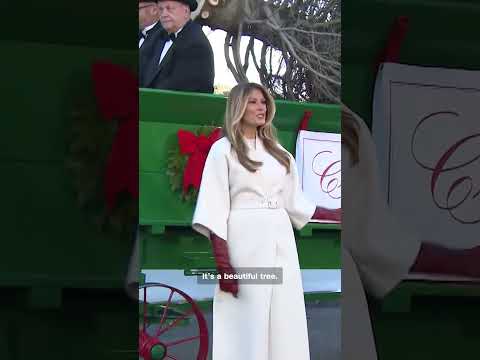 Melania Trump receives White House Christmas tree