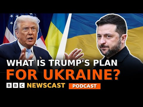 Does President Trump’s plan bring Russia and Ukraine any closer to peace? | BBC Newscast