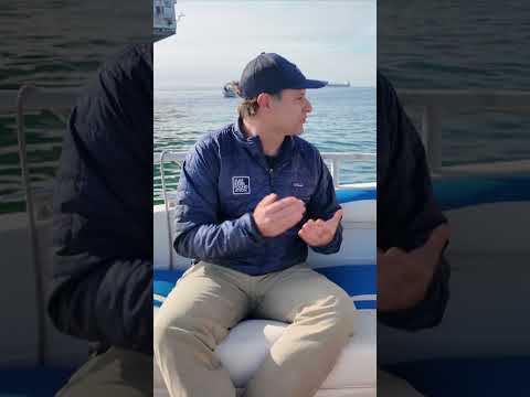 Trump’s fossil fuel focus: what damage could it cause?