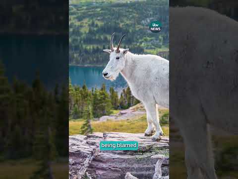 Fodor’s has published its annual ‘no list’ of places tourists shouldn’t rush to visit #itvnews