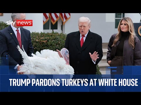 Donald Trump pardons turkeys at the White House