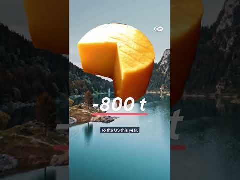 Did the Swiss-US tariff deal save these cows? | DW News