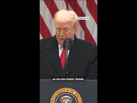 Trump pardons turkeys Gobble and Waddle for Thanksgiving