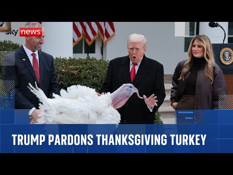‘We’re getting very close’: Trump signals progress on Ukraine during turkey pardoning ceremony
