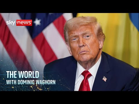 Is the diplomacy around a US-proposed peace plan for Ukraine getting somewhere? | The World