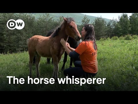 Bosnia and Herzegovina: The horse whisperer | Focus on Europe