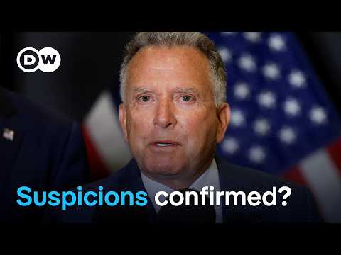 Leak: US envoy Witkoff told Russia how to pitch peace plan to Trump | DW News