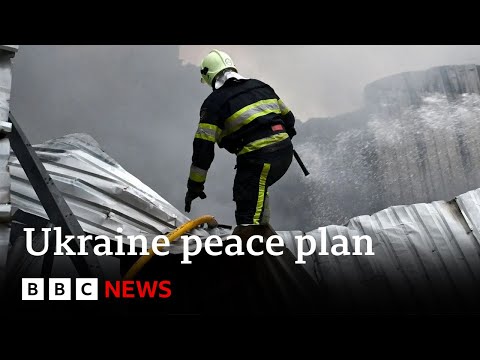 US President Trump’s envoy to have Ukraine peace plan talks at Kremlin | BBC News