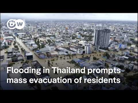 Thailand and Malaysia step up flood rescue efforts | DW News