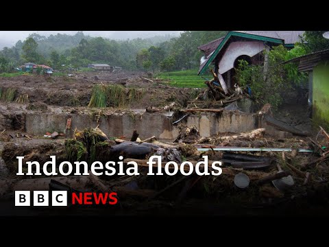 At least 43 people killed in Indonesia floods | BBC News