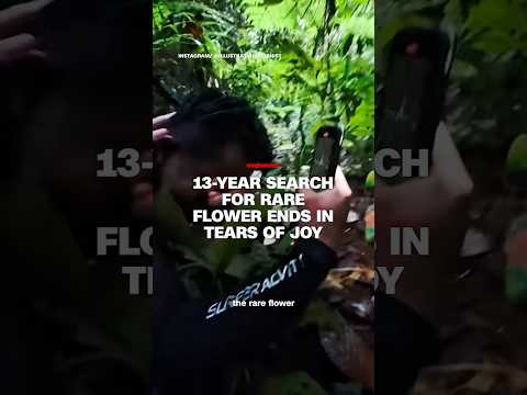 13-year search for rare flower ends in tears of joy