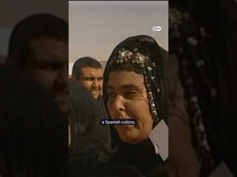 The secret wall in the Sahara | DW News