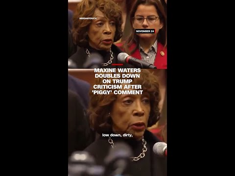Maxine Waters doubles down on Trump criticism after ‘piggy’ comment