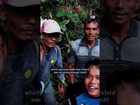 Rare Indonesian flower “rediscovered” | DW News