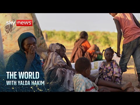 The World | Is the fate of Sudan’s ‘genocide’ victims in the UK’s hands?