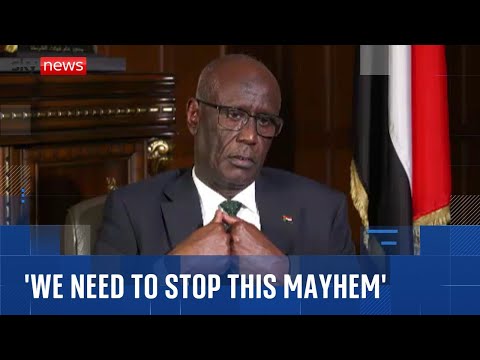 Genocide is unfolding in Darfur, warns Sudanese government – as it calls for the world to act