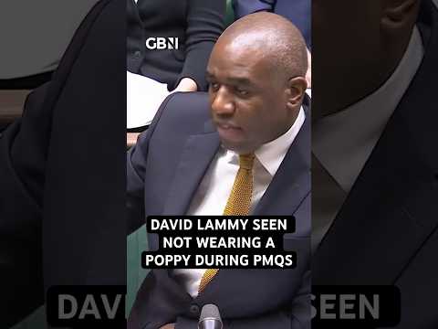 David Lammy seen not wearing a poppy during PMQs