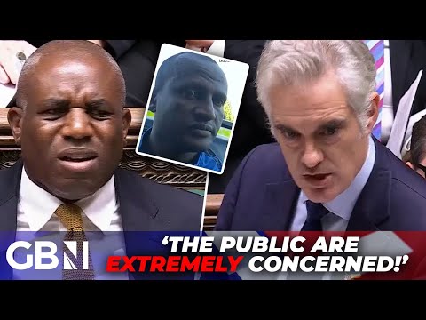 David Lammy repeatedly REFUSES to answer if more migrant criminals have been mistakenly released