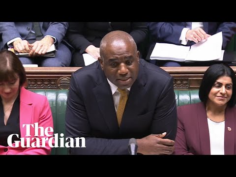 ‘Get a grip, man’: deputy PM clashes with Tories over mistaken release of asylum seeker