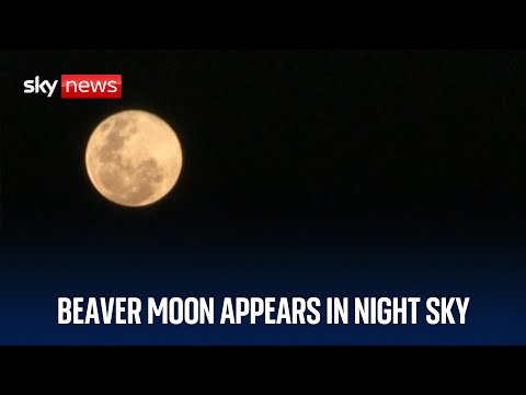 Beaver Moon appears in the night sky around the world