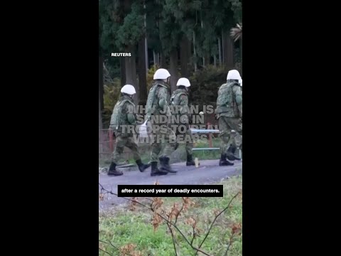 Why Japan is sending in troops to deal with bears