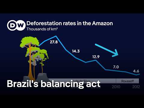 What kind of climate player is Brazil really?  |  DW News