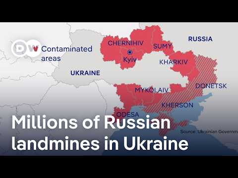 Up to ten million Russian landmines throughout Ukraine since full-scale invasion | DW News