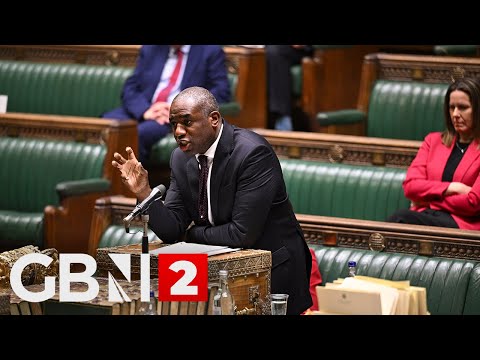 WATCH: David Lammy answer Justice Questions in the House of Commons