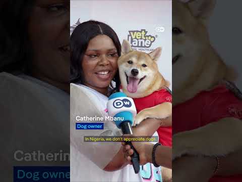 Dog canival in Lagos | DW News