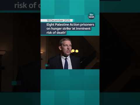 Eight Palestine Action prisoners on hunger strike ‘at imminent risk of death’