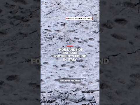 Thousands of dinosaur footprints found in Italy