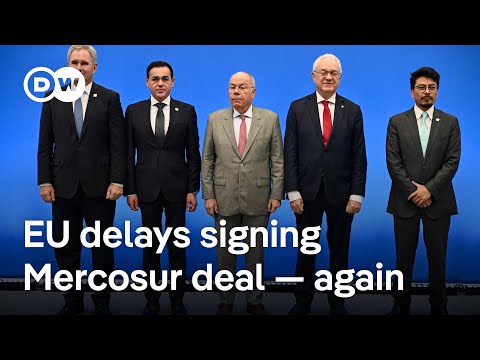 EU-Mercosur trade deal: Who profits — and whose livelihoods could it undercut? | DW News