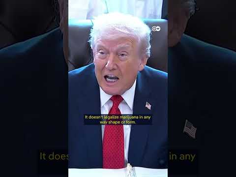 High hopes for US cannabis businesses | DW News