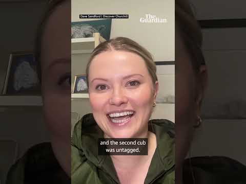 Female polar bear adopts cub in rare case