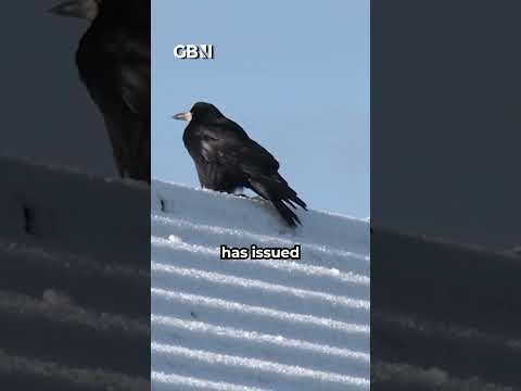 Cold health ALERT has been issued for Christmas Day as temperatures are set to PLUNGE below freezing