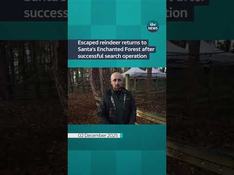 Escaped reindeer returns to Santa’s Enchanted Forest after successful search operation #shorts