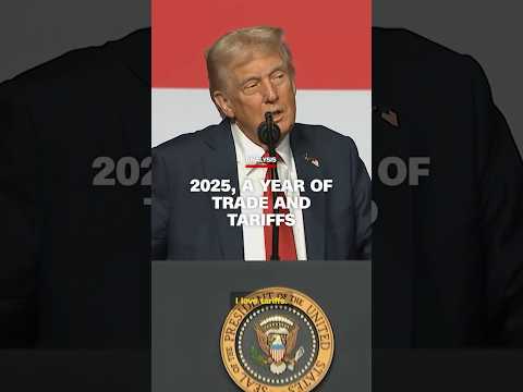 Analysis: 2025, a year of trade and tariffs