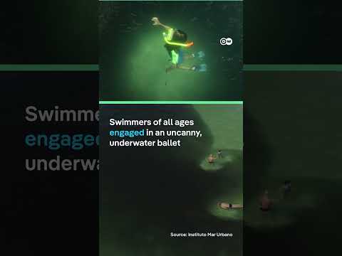 Millions of anchovies swarm Rio’s Copacabana Beach | DW News