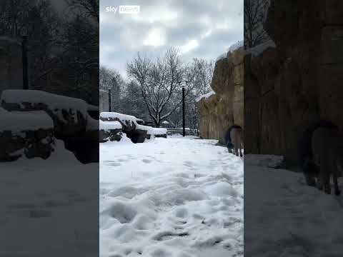 US battered by winter storm