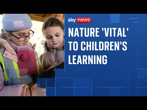 Should outdoor learning be a legal right for every child?
