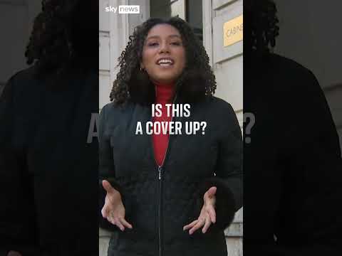 ‘Airmiles Andy’: Is govt covering up Andrew details?