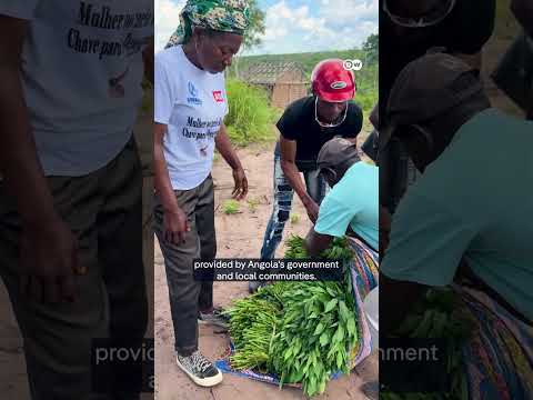Humanitarian aid crisis hits Angola | DW News